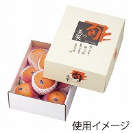 ヤマニパッケージ ギフト箱　旬の美果 3kg L－498 10枚/束（ご注文単位5束）【直送品】