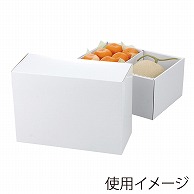 ヤマニパッケージ ギフト箱　ロイヤルBOX ホワイト L－2211 10枚/束（ご注文単位4束）【直送品】