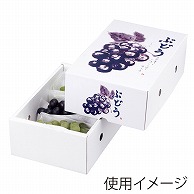 【直送品】 ヤマニパッケージ ぶどう箱　もぎたてのぶどう 2kg L-2162　10枚/束（ご注文単位5束）