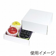 ヤマニパッケージ ギフト箱　ホワイト 紙トレー3L×2ヶ箱 L－2303 10枚/束（ご注文単位4束）【直送品】