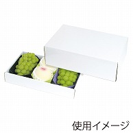 ヤマニパッケージ ギフト箱　ホワイト 紙トレー3L×3ヶ箱 L－2304 10枚/束（ご注文単位3束）【直送品】
