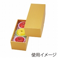 ヤマニパッケージ ギフト箱　ゴールド 20 L－2362 10枚/束（ご注文単位5束）【直送品】