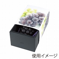 ヤマニパッケージ ぶどうスライドBOX  L－2454 10枚/束（ご注文単位5束）【直送品】