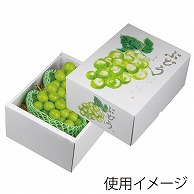 >【直送品】 ヤマニパッケージ ぶどう箱　もぎたてのぶどう グリーン L-2501　10枚/束（ご注文単位4束）