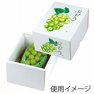 【直送品】 ヤマニパッケージ ぶどう箱　もぎたてのぶどう グリーン　小 L-2509　10枚/束（ご注文単位4束）