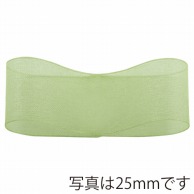 >【直送品】 青山 リボン　スーパーオーガンジー　0217 15×30 ＃05 1巻（ご注文単位1巻）