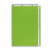 共栄プラスチック カラー方眼下敷 A5判 グリーン CPK-A5-G 1枚（ご注文単位5枚）【直送品】