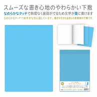 共栄プラスチック カラーソフト透明下敷 B5判 ブルー CSS-B5-B 1枚（ご注文単位5枚）【直送品】