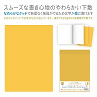 共栄プラスチック カラーソフト透明下敷 B5判 イエロー CSS-B5-Y 1枚（ご注文単位5枚）【直送品】