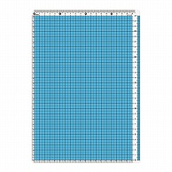 共栄プラスチック カラー方眼下敷 A4判 ブルー CPK-A4-B 1枚（ご注文単位5枚）【直送品】