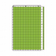 共栄プラスチック カラー方眼下敷 B6判 グリーン CPK-B6-G 1枚（ご注文単位5枚）【直送品】