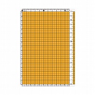 共栄プラスチック カラー方眼下敷 B6判 イエロー CPK-B6-Y 1枚（ご注文単位5枚）【直送品】