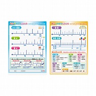 共栄プラスチック 学習下敷 B5判 単位早わかり NO.8300-B5-4 1枚（ご注文単位10枚）【直送品】