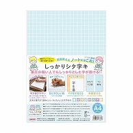 共栄プラスチック しっかりシタ字キ A4 ラムネ SHS-A4-04 1枚（ご注文単位5枚）【直送品】