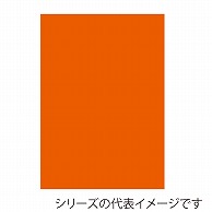 ジャパンアート ニューカラーボード 5mm厚　B3　オレンジ BP－5CB－B3－OR 1枚（ご注文単位1枚）【直送品】