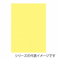 【直送品】 ジャパンアート ニューカラーボード 5mm厚　B1　クリーム BP－5CB－B1－CR 1枚（ご注文単位1枚）