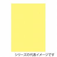 【直送品】 ジャパンアート ニューカラーボード 5mm厚　B2　クリーム BP－5CB－B2－CR 1枚（ご注文単位1枚）
