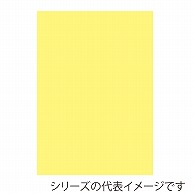 【直送品】 ジャパンアート ニューカラーボード 5mm厚　B3　クリーム BP－5CB－B3－CR 1枚（ご注文単位1枚）