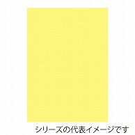 ジャパンアート ニューカラーボード 5mm厚　A1　クリーム BP－5CB－A1－CR 1枚（ご注文単位1枚）【直送品】