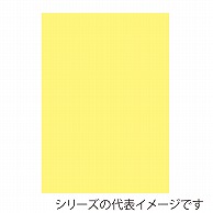 ジャパンアート ニューカラーボード 5mm厚　A3　クリーム BP－5CB－A3－CR 1枚（ご注文単位1枚）【直送品】