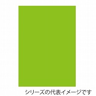 ジャパンアート ニューカラーボード 5mm厚　B1　イエローグリーン BP－5CB－B1－YG 1枚（ご注文単位1枚）【直送品】