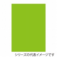 ジャパンアート ニューカラーボード 5mm厚　B2　イエローグリーン BP－5CB－B2－YG 1枚（ご注文単位1枚）【直送品】