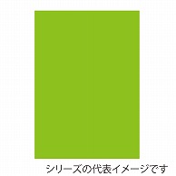 【直送品】 ジャパンアート ニューカラーボード 5mm厚　B3　イエローグリーン BP－5CB－B3－YG 1枚（ご注文単位1枚）