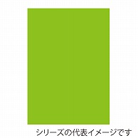 ジャパンアート ニューカラーボード 5mm厚　A1　イエローグリーン BP－5CB－A1－YG 1枚（ご注文単位1枚）【直送品】