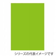>【直送品】 ジャパンアート ニューカラーボード 5mm厚　A3　イエローグリーン BP－5CB－A3－YG 1枚（ご注文単位1枚）