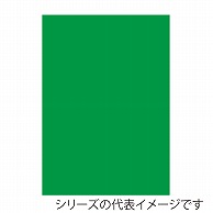 ジャパンアート ニューカラーボード 5mm厚　B1　グリーン BP－5CB－B1－GR 1枚（ご注文単位1枚）【直送品】