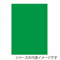 【直送品】 ジャパンアート ニューカラーボード 5mm厚　B2　グリーン BP－5CB－B2－GR 1枚（ご注文単位1枚）