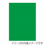 【直送品】 ジャパンアート ニューカラーボード 5mm厚　B3　グリーン BP－5CB－B3－GR 1枚（ご注文単位1枚）