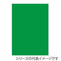 >【直送品】 ジャパンアート ニューカラーボード 5mm厚　A1　グリーン BP－5CB－A1－GR 1枚（ご注文単位1枚）