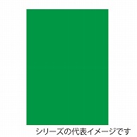 ジャパンアート ニューカラーボード 5mm厚　A2　グリーン BP－5CB－A2－GR 1枚（ご注文単位1枚）【直送品】
