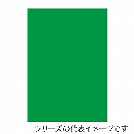 【直送品】 ジャパンアート ニューカラーボード 5mm厚　A3　グリーン BP－5CB－A3－GR 1枚（ご注文単位1枚）