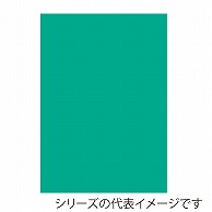 >【直送品】 ジャパンアート ニューカラーボード 5mm厚　B1　アクアグリーン BP－5CB－B1－AG 1枚（ご注文単位1枚）