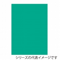 ジャパンアート ニューカラーボード 5mm厚　B2　アクアグリーン BP－5CB－B2－AG 1枚（ご注文単位1枚）【直送品】