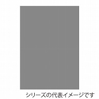 ジャパンアート ニューカラーボード 5mm厚　B3　グレー BP－5CB－B3－GY 1枚（ご注文単位1枚）【直送品】
