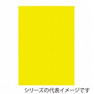 【直送品】 ジャパンアート ニューカラーボード 5mm厚　B2　蛍光イエロー BP－5CB－B2－FY 1枚（ご注文単位1枚）