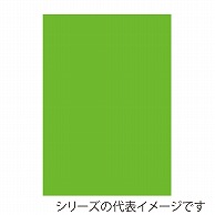 ジャパンアート ニューカラーボード 5mm厚　3×6　蛍光グリーン BP－5CB－3×6－FG 1枚（ご注文単位5枚）【直送品】