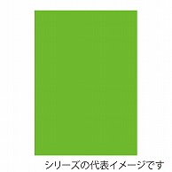 【直送品】 ジャパンアート ニューカラーボード 5mm厚　A1　蛍光グリーン 5CB－A1－FG 1枚（ご注文単位1枚）