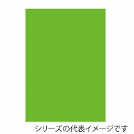 ジャパンアート ニューカラーボード 5mm厚　B2　蛍光グリーン BP－5CB－B2－FG 1枚（ご注文単位1枚）【直送品】