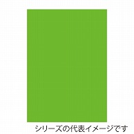>【直送品】 ジャパンアート ニューカラーボード 5mm厚　A2　蛍光グリーン 5CB－A2－FG 1枚（ご注文単位1枚）