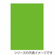 ジャパンアート ニューカラーボード 5mm厚　A3　蛍光グリーン 5CB－A3－FG 1枚（ご注文単位1枚）【直送品】