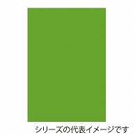 >【直送品】 ジャパンアート ボード　カラーポップコーア 5mm厚　B1　イエローグリーン 5PC－B1－YG 1枚（ご注文単位1枚）