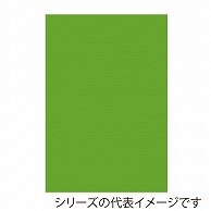 【直送品】 ジャパンアート ボード　カラーポップコーア 5mm厚　A1　イエローグリーン 5PC－A1－YG 1枚（ご注文単位1枚）
