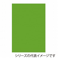 【直送品】 ジャパンアート ボード　カラーポップコーア 5mm厚　B2　イエローグリーン 5PC－B2－YG 1枚（ご注文単位1枚）