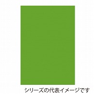 ジャパンアート ボード　カラーポップコーア 5mm厚　A2　イエローグリーン 5PC－A2－YG 1枚（ご注文単位1枚）【直送品】