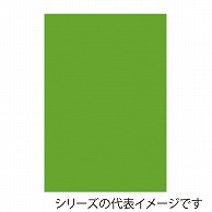 >【直送品】 ジャパンアート ボード　カラーポップコーア 5mm厚　B3　イエローグリーン 5PC－B3－YG 1枚（ご注文単位1枚）