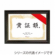 【直送品】 ジャパンアート 樹脂製賞証額 B4判　金ラック　A JSA－G27 1枚（ご注文単位1枚）